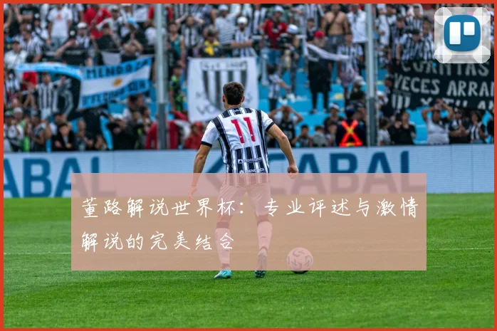 董路解说世界杯：专业评述与激情解说的完美结合