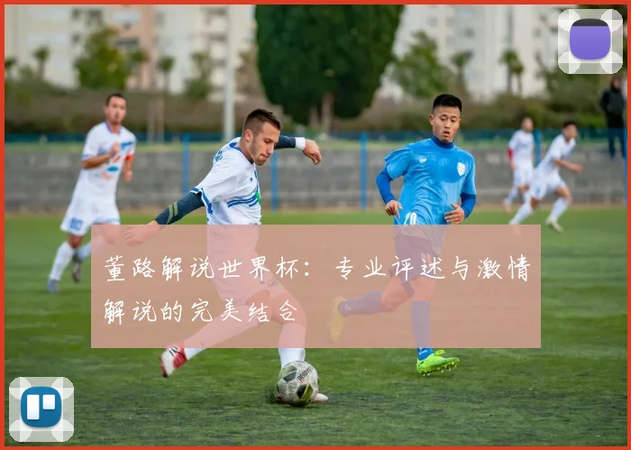 董路解说世界杯：专业评述与激情解说的完美结合